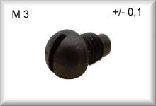 Screws for engine, lens head, suitable only for 1. version of CCS 800, price per piece.